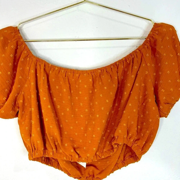 🆕 Lush Rust Colored Crop Top - Picture 7 of 9
